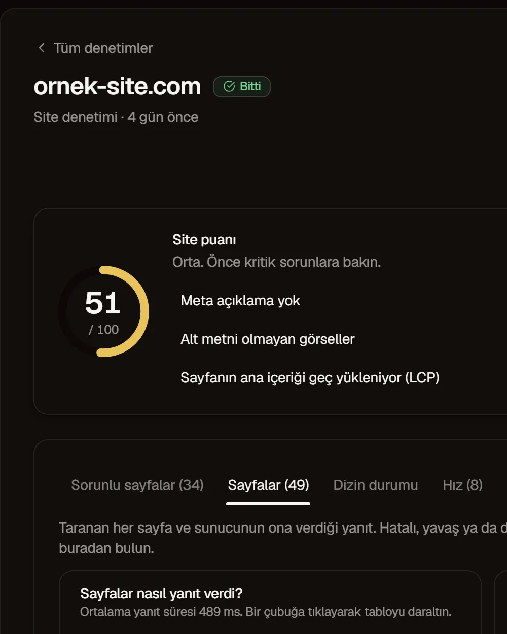 Site denetimi: puan halkası, önem sırasına göre bulgular ve düzeltme adımları